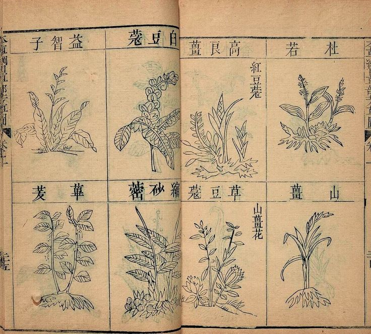 《本草綱目》裡面的泡足養生秘方，值得珍藏！