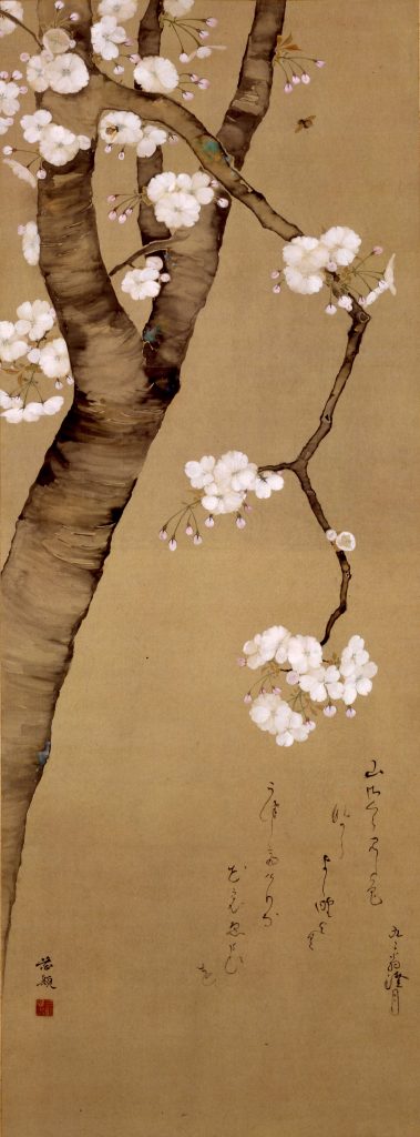 王淇诗作《梅》：不惹凡尘独高洁