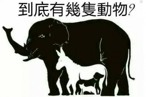 神秘的智力測試圖：你能看出幾種動物呢？